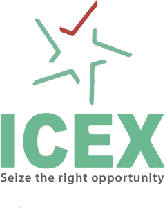 ICEX (Indian Commodity Exchange) Limited Unlisted Shares